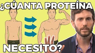 ¿Cuánta Proteína Necesitas Consumir [upl. by Analaj]