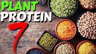 Top 7 Sources of Plant Protein [upl. by Madox642]