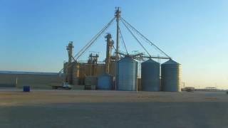 BARG Feedyard  Hereford Texas  Custom Cattle Feeding [upl. by Acihsay]