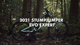 2021 Specialized Stumpjumper EVO Expert  Bike Review [upl. by Adnohsal]