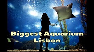 Lisbon Aquarium  Lisbon Oceanarium [upl. by Madalyn]