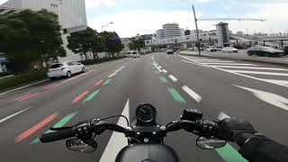 2020 Iron 883N Daily Ride Pure Exhaust sound [upl. by Ilsa]