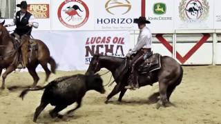 NCHA  The Sport of Cutting Horses [upl. by Wilscam]