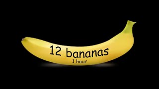 12 bananas theme song  1 hour [upl. by Gaillard]