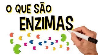 ✅ O QUE SÃO ENZIMAS [upl. by Malcolm]