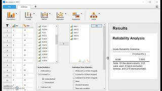 Cronbachs alpha with JASP [upl. by Martz205]