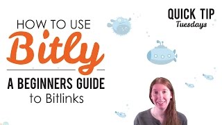 How to Use Bitly Beginners Guide to Bitlinks [upl. by Seitz]