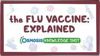 The flu vaccine explained [upl. by Ithsav]