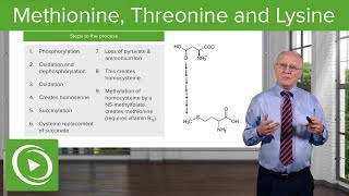 Methionine Threonine and Lysine Metabolism – Biochemistry  Lecturio [upl. by Panta]