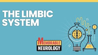 Limbic System Mnemonics Memorable Neurology Lecture 2 [upl. by Kelwen862]