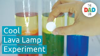 Lava Lamp Experiment with Oil and Water  Home Science [upl. by Mattox882]