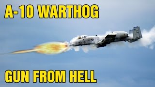 A10 Warthog  The Gun 30mm GAU8 Avenger Cannon [upl. by Yak847]