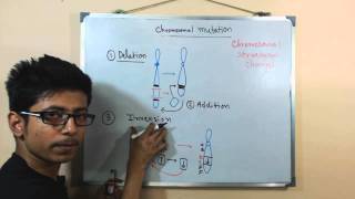 Chromosomal mutations  deletion mutation [upl. by Danice]