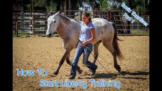 How To Start Liberty Training With Your Horse Basic Exercises Part 1 [upl. by Amandy]