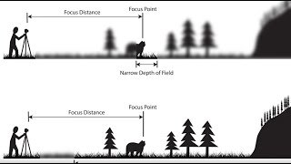 Depth of Field An Easy Overview 2023 [upl. by Assyram668]