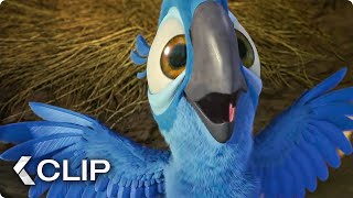 Real in Rio Song Movie Clip  Rio 2011 [upl. by Middendorf]