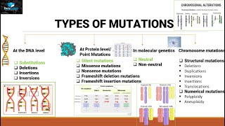 Mutations And Types Of Mutations [upl. by Minta]