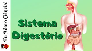 Sistema Digestório [upl. by Naamana]