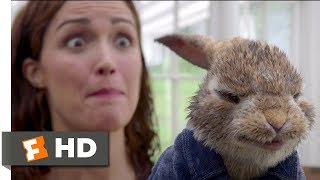 Peter Rabbit 2018  Skirmish In The Studio Scene 510  Movieclips [upl. by Elletnwahs227]