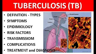 Tuberculosis TB Explained Causes Types Symptoms Diagnosis amp Treatment [upl. by Etnohc161]