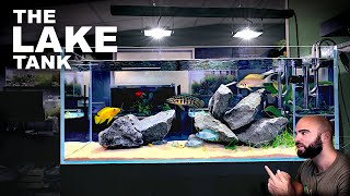 Aquascape Tutorial EPIC 4ft African Cichlid Aquarium  Lake Tanganyika How To Step By Step Guide [upl. by Hedy]