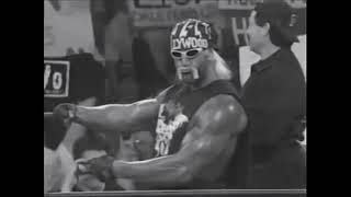 nWo Theme  Hollywood Hogan Voodoo Child [upl. by Oliric]