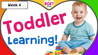 Educational Videos for Toddlers  2 year old 3 year old 4 year old Learning Videos with Boey Bear [upl. by Kyred]