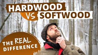 The Actual Difference Between Hardwood and Softwood [upl. by Aisereht]