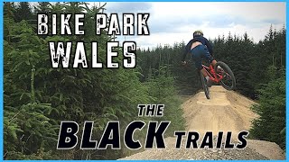 Bike Park Wales  The EXPERT Trails inc Enter the dragon [upl. by Sixele]