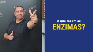 O que fazem as Enzimas metabolismo [upl. by Gardiner562]