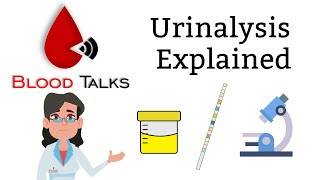 urinalysis explained full  Whats in your urine [upl. by Woodcock226]