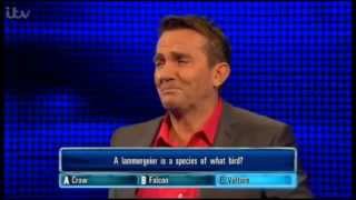 The Chase ITV1  Bradley Walsh laughing at bird killing bald man with a tortoise 070313 [upl. by Gridley]