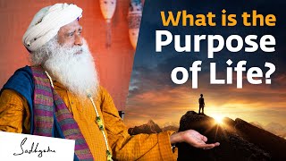 What is the Purpose of Life  Sadhguru [upl. by Sheaff12]