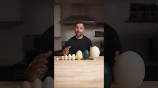 I Cooked the World’s CRAZIEST Eggs [upl. by Suhcnip]