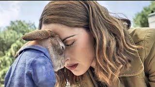 Peter Rabbit Movie Explained in HindiUrdu  Peter Rabbit 1Fantasy film summarized हिन्दीاردو [upl. by Tresa]