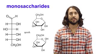 Carbohydrates Part 1 Simple Sugars and Fischer Projections [upl. by Aivatnahs150]