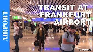 TRANSIT WALK AT FRANKFURT Airport FRA Terminal 1  Connection Flight Transfer Arriving amp Departing [upl. by Beckett]