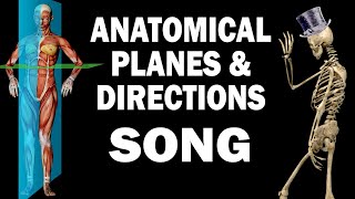 ANATOMICAL PLANES AND DIRECTIONS SONG [upl. by Elizabet]