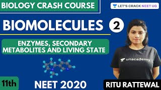 Biomolecules  Enzymes Secondary Metabolites and Living State  Part 2  NEET 2020 [upl. by Ydnagrub]