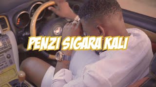 Twanga Pepeta  Penzi Sigara Kali Official Video [upl. by Whallon]