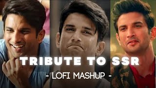 TRIBUTE TO SSR Lofi Mashup  Phir Kabhi × Qaafirana × Jaannisar  Jaz scape  🎧 [upl. by Aneehta]