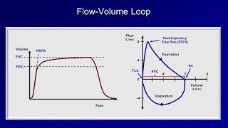 Pulmonary Function Tests PFT Lesson 2  Spirometry [upl. by Kelda]