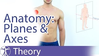 Anatomical Planes amp Axes Explained [upl. by Sirref]