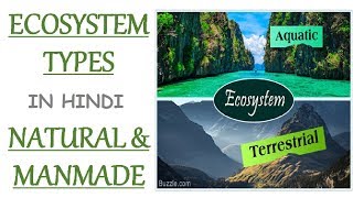 Classification of Ecosystem  Natural amp Manmade In Hindi [upl. by Wilder]