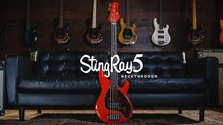 Ernie Ball Music Man StingRay 5 Neckthrough Bass Joe Dart Demos [upl. by Snowman]