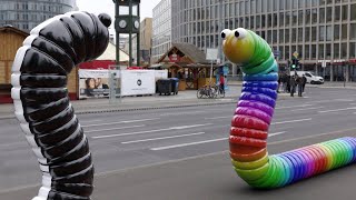 Wormet io Slither io in real life Season 2 [upl. by Ettelocin554]