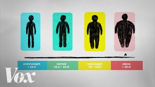 Understanding BMI and Health Risks [upl. by Rufena]