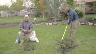 How to Reseed a Lawn [upl. by Lisandra]