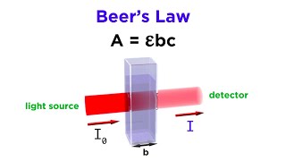 Spectrophotometry and Beers Law [upl. by Liamaj]